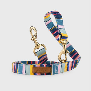 Knala Colour Stripe dog cafe lead front view on a white background.