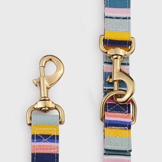 Knala Colour Stripe dog café lead hardware close-up on white background