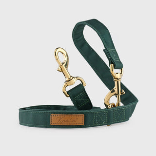 Knala Forest Green dog cafe lead front view on a white background.