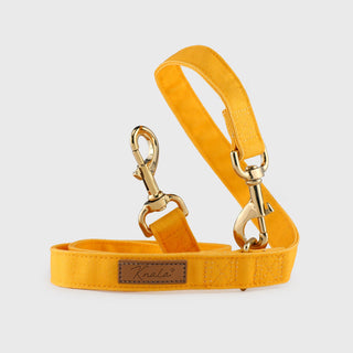 Knala Honey Yellow dog cafe lead front view on a white background.
