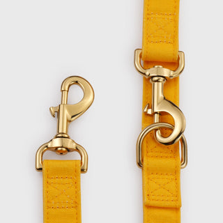 Knala Honey Yellow dog café lead hardware close-up on white background