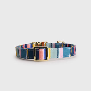 Knala Colour Stripe dog collar in Medium back view on a white background.