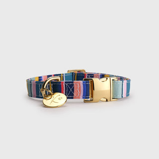 Knala Colour Stripe dog collar in Medium front view on a white background.