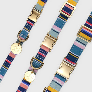 Knala Colour Stripe dog collar product view on white background