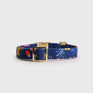Knala Floral Blue dog collar in Medium back view on a white background.