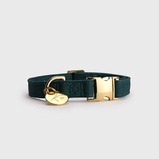 Knala Forest Green dog collar in Medium front view on a white background.