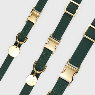 Knala Forest Green dog collar product view on white background