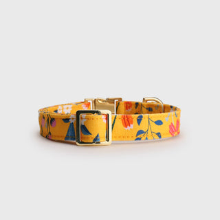 Knala Floral Yellow dog collar in Medium back view on a white background.
