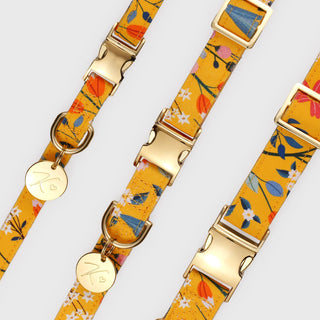 Knala Floral Yellow dog collar product view on white background