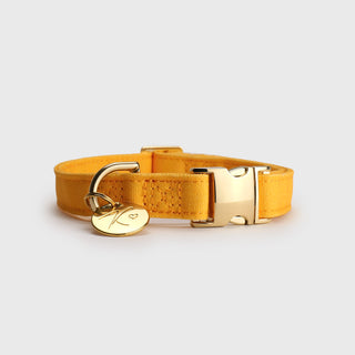 Knala Honey Yellow dog collar in Medium front view on a white background.