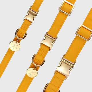 Knala Honey Yellow dog collar product view on white background