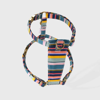 Knala Colour Stripe dog harness in Medium on a white background packshot.