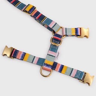Knala Colour Stripe dog harness in Medium showing back laid flat.
