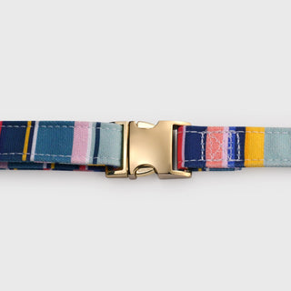 Knala Colour Stripe dog harness in Medium showing closeup of a buckle.