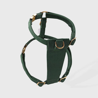 Knala Forest Green dog harness in Medium showing closeup of a buckle.