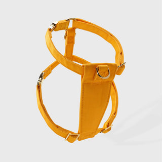 Knala Honey Yellow dog harness in Medium on a white background packshot.