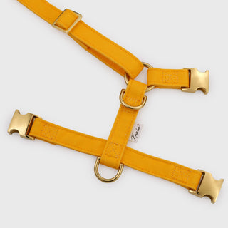 Knala Honey Yellow dog harness in Medium showing back laid flat.