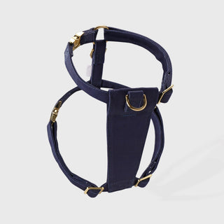 Midnight Blue Dog Harness