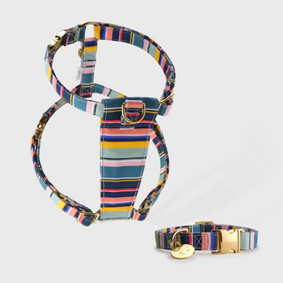 Knala Colour Stripe Harness and Collar Set - harness and collar in multicolour stripe bamboo webbing with gold hardware