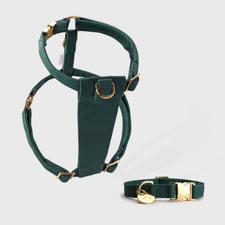 Knala Forest Green Harness and Collar Set - harness and collar in deep green bamboo webbing with gold hardware