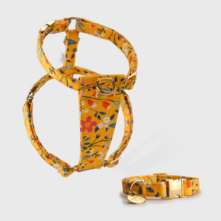 Knala Floral Yellow Harness and Collar Set - harness and collar in yellow floral bamboo webbing with gold hardware