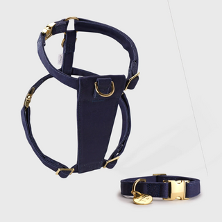 Knala Midnight Blue Harness and Collar Set - harness and collar in deep blue bamboo webbing with gold hardware