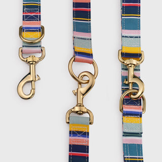 Knala Colour Stripe dog multipurpose lead hardware close-up on white background