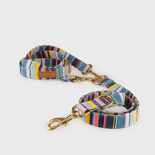 Knala Colour Stripe dog multipurpose lead front view on a white background.