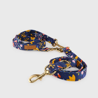 Knala Floral Blue dog multipurpose lead front view on a white background.
