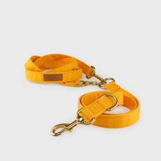 Knala Honey Yellow dog multipurpose lead front view on a white background.