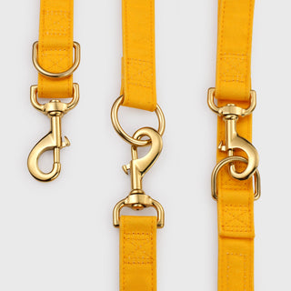 Knala Honey Yellow dog multipurpose lead hardware close-up on white background