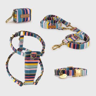 Knala Colour Stripe walking set - harness, cafè lead and poo bag holder in multicolour stripe organic cotton with gold hardware