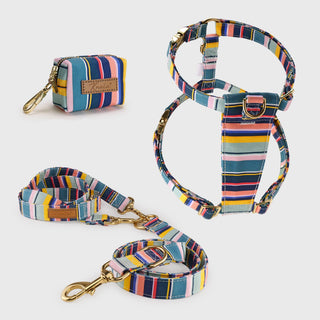 Knala Colour Stripe walking set - harness, multipurpose lead and poo bag holder in multicolour stripe organic cotton with gold hardware