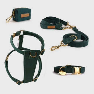 Knala Forest Green walking set - harness, cafè lead and poo bag holder in deep green organic cotton with gold hardware