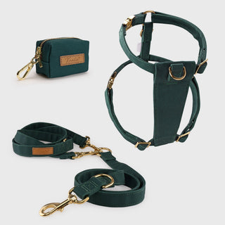 Knala Forest Green walking set - harness, multipurpose lead and poo bag holder in deep green organic cotton with gold hardware