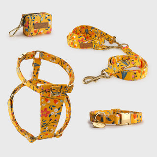 Knala Floral Yellow walking set - harness, cafè lead and poo bag holder in yellow wildflower print organic cotton with gold hardware