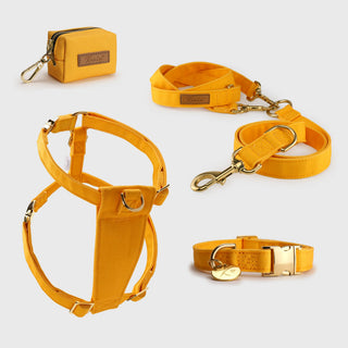 Knala Honey Yellow walking set - harness, cafè lead and poo bag holder in warm yellow organic cotton with gold hardware