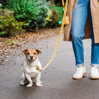 Floral Yellow Café Lead