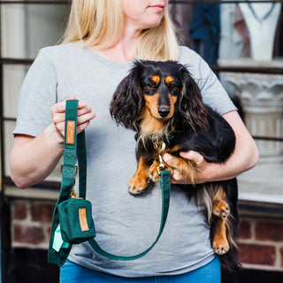 Knala Forest Green dog café lead on dog outdoors