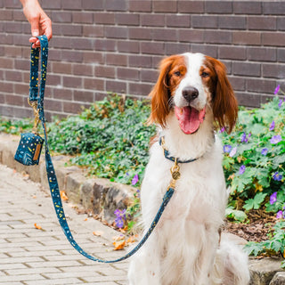 Green Foliage Café Lead