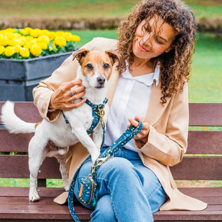 Green Foliage Café Lead