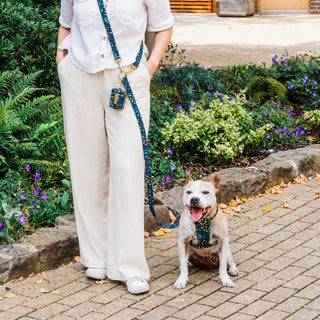 Knala Green Foliage dog harness on dog outdoors