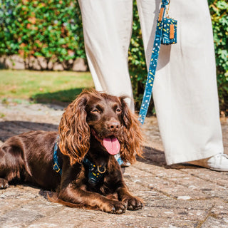 Knala Green Foliage dog harness on dog outdoors