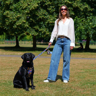 Black Labrador wearing a Floral Blue organic cotton dog harness attached to match Blue Floral lead and waste bag holder, seated in an open park beside her owner
