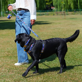 Black Labrador wearing a Floral Blue organic cotton dog harness attached to matching Floral Blue lead and waste bag holder in an open park with her owner