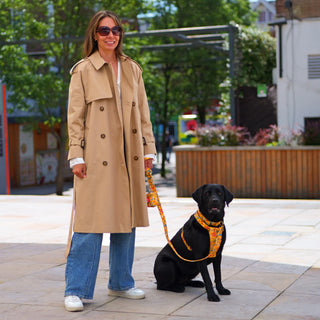 Black Labrador wearing a Floral Yellow organic cotton dog harness with matching Floral Yellow lead and waste bag holder, seated on a city square pavement beside her owner