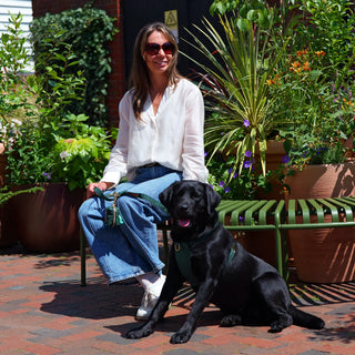 Black Labrador wearing a Forest Green organic cotton dog harness, seated beside her owner on a planted urban courtyard bench