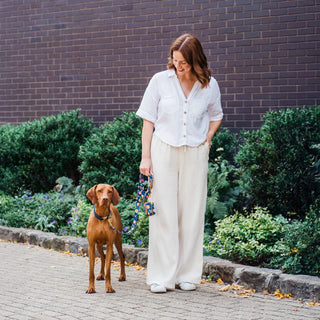 Knala Midnight Blue dog collar on dog outdoors