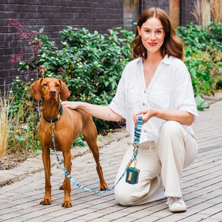 Knala Sea Blue Stripe dog café lead on dog outdoors