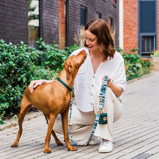 Knala Sea Blue Stripe dog café lead on dog outdoors